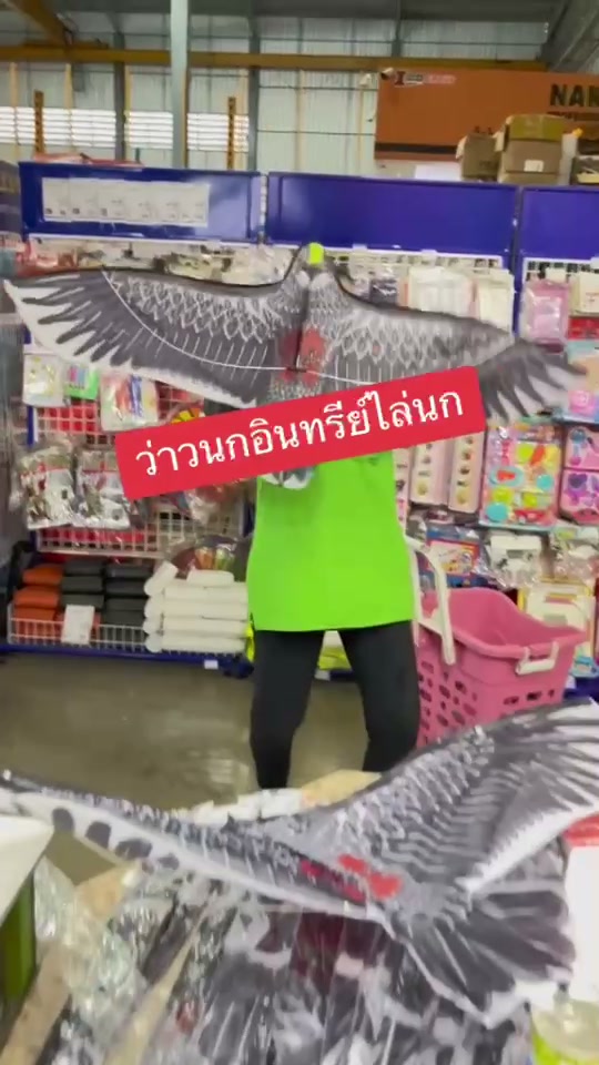 ว่าวนกอินทรีย์ ไร่นก ตัวช่วยไล่นกในสวนและไร่นา